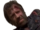 https://image.noelshack.com/fichiers/2024/34/1/1724072681-chuck-norris-60.png