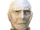 https://image.noelshack.com/fichiers/2024/34/1/1724084544-voldemort1-2.png