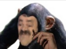 https://www.noelshack.com/2024-34-1-1724088100-img-3585.jpeg