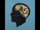 https://www.noelshack.com/2024-34-3-1724227876-stylized-head-silhouette-brain-filled-dry-twisted-leaves-symbol-dementia-brain-aging-memory-loss-concept-mental-131676524.jpg