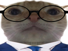 https://image.noelshack.com/fichiers/2024/34/5/1724417631-full.png