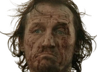 https://image.noelshack.com/fichiers/2024/34/5/1724420521-bronn-1.png