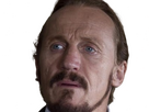 https://image.noelshack.com/fichiers/2024/34/5/1724420969-bronn-10.png