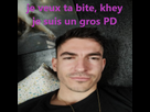 https://image.noelshack.com/minis/2024/34/5/1724421778-pd.png