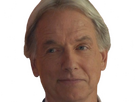 https://image.noelshack.com/fichiers/2024/34/6/1724454184-gibbs-13.png