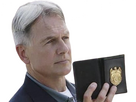 https://image.noelshack.com/fichiers/2024/34/6/1724454184-gibbs-15.png