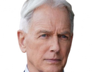 https://image.noelshack.com/fichiers/2024/34/6/1724454460-gibbs-23.png