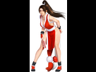 https://www.noelshack.com/2024-34-6-1724460430-mai-shiranui.png