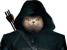 https://image.noelshack.com/minis/2024/35/1/1724706039-charrow.png