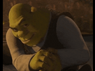 https://www.noelshack.com/2024-35-3-1724796507-shrek-shrek-meme.gif