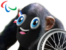 https://image.noelshack.com/fichiers/2024/35/4/1724957551-phryge-singe-paralympique.jpg