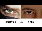 https://image.noelshack.com/fichiers/2024/35/5/1725038397-hunter-eye-vs-prey-eye.png