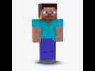 https://image.noelshack.com/fichiers/2024/36/2/1725352016-minecraftsteve3dmodel01.jpg