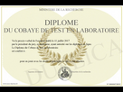 https://image.noelshack.com/fichiers/2024/36/2/1725360603-700-738545-diplome-du-cobaye-de-test-en-laboratoire-4026654593.jpg