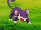 https://image.noelshack.com/fichiers/2024/36/2/1725390660-rattata-de-cathy.png