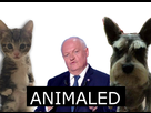 https://www.noelshack.com/2024-36-3-1725404182-1558944135-animaled.png
