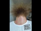 https://www.noelshack.com/2024-36-3-1725483053-i.png