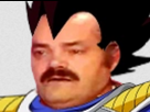 https://image.noelshack.com/fichiers/2024/36/4/1725533926-el-risitas-vegeta.png