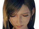 https://image.noelshack.com/fichiers/2024/36/5/1725629982-tifa-23.png