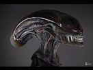 https://www.noelshack.com/2024-36-6-1725665883-subadult-xeno-selects-10.jpg