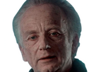 https://image.noelshack.com/fichiers/2024/36/6/1725720250-sheev-25.png