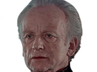 https://image.noelshack.com/fichiers/2024/36/6/1725720326-sheev-29.png