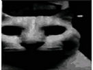 https://www.noelshack.com/2024-37-3-1726077706-full-14.png