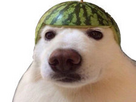 https://image.noelshack.com/minis/2024/37/6/1726332292-full.png