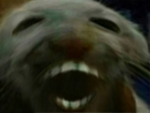 https://image.noelshack.com/fichiers/2024/38/2/1726601330-aaaaaaa.png