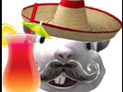 https://image.noelshack.com/fichiers/2024/38/3/1726659482-mexicain-mouse.png