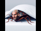 https://image.noelshack.com/fichiers/2024/38/5/1726818675-zidane-parisien.jpg