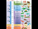 https://www.noelshack.com/2024-39-3-1727286898-geological-timescale-v3-768x879.jpg