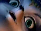 https://www.noelshack.com/2024-39-4-1727357030-renard.png