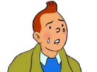 https://image.noelshack.com/fichiers/2024/39/6/1727557394-tintin4.png