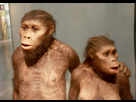 https://www.noelshack.com/2024-39-7-1727626570-australopitheques-reconstitution-1024x725.jpg