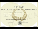 https://image.noelshack.com/fichiers/2024/40/3/1727888945-1725360603-700-738545-diplome-du-cobaye-de-test-en-laboratoire-4026654593.jpg