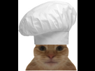 https://image.noelshack.com/fichiers/2024/40/3/1727898935-clipped-image-20241002-215522.png