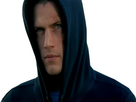 https://www.noelshack.com/2024-40-5-1728066945-scofield.jpg