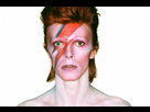 https://www.noelshack.com/2024-41-2-1728393214-1137204-ziggy-stardust-alias-david-bowie.jpg