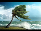 https://www.noelshack.com/2024-41-3-1728464263-palmier-se-pliant-dans-ouragan-798657-9304.jpg