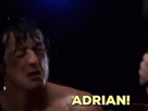 https://image.noelshack.com/fichiers/2024/41/5/1728602489-rocky-adrian.gif