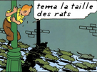 https://image.noelshack.com/fichiers/2024/41/5/1728643889-tintin-rat.jpg