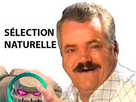 https://image.noelshack.com/fichiers/2024/41/5/1728663462-naturlish.jpeg