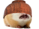 https://www.noelshack.com/2024-41-6-1728760772-hamisto.png