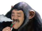 https://www.noelshack.com/2024-42-1-1728874910-aaaa.png