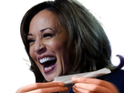 https://www.noelshack.com/2024-42-4-1729151055-kamala.png