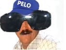 https://www.noelshack.com/2024-42-5-1729278279-pelo1.png