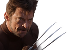https://image.noelshack.com/fichiers/2024/42/6/1729344916-wolverine-jackman-1.png