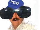 https://image.noelshack.com/minis/2024/42/7/1729382900-pelo1.png