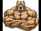 https://image.noelshack.com/fichiers/2024/43/2/1729549070-angry-dog-bodybuilder.png